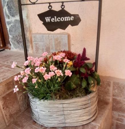 Apartman Anna Apartment Velky Slavkov Luaran gambar