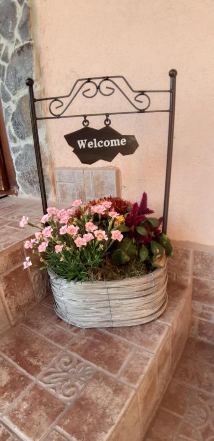 Apartman Anna Apartment Velky Slavkov Luaran gambar
